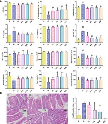 Elucidation of the Reinforcing Spleen Effect of Jujube Fruits Based on Metabolomics and Intestinal Flora Analysis